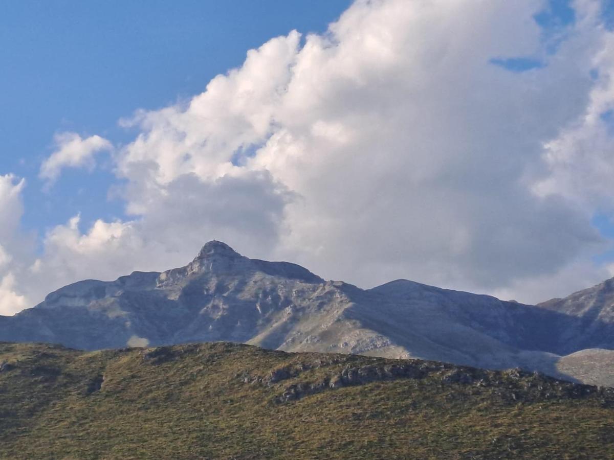 La Campagna Di Peppe E Tullia Bed & Breakfast Формия Екстериор снимка
